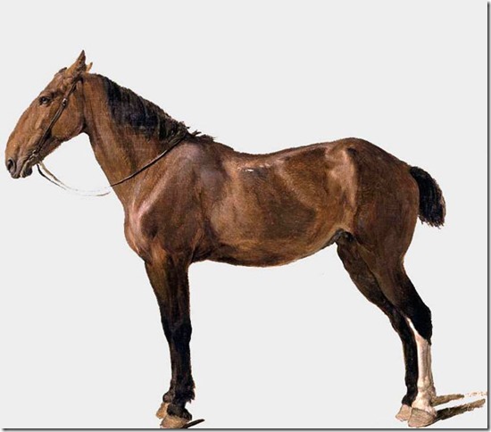 Agasse, Jaques Laurent - Portrait of a horse - 1794-95 - Privatecollection